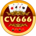 CV666